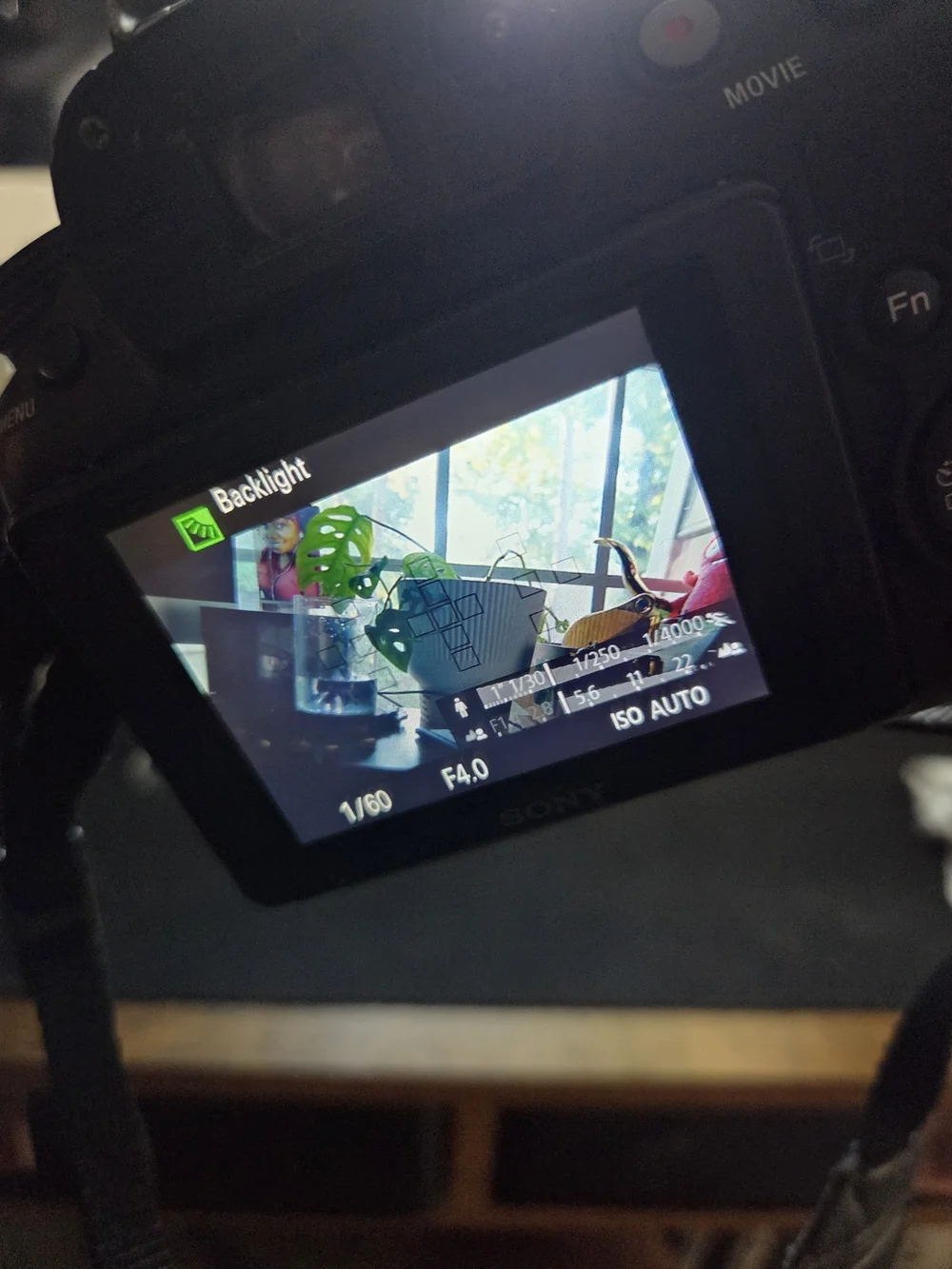 Sony Black DSLR Camera with Built-in Flash